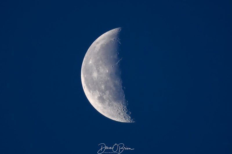 Half moon 
7/21/22
Keywords: halfmoon