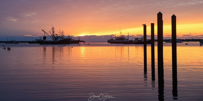 Rye Harbor Sunrise
2/2/23
Keywords: Rye Harbor, Sunrise, New Hampshire