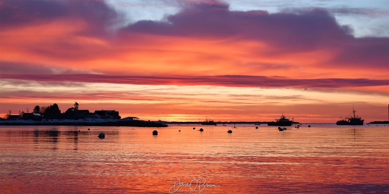 Rye Sunrise
Rye, NH
2/25/26
Keywords: New Hampshire, Seacoast, Sunrise