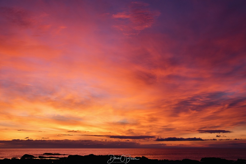 Rye Sunrise
Shot near Odiorne Point
Rye, NH
4/4/26
Keywords: New England Coast, Sunrise, Rye NH