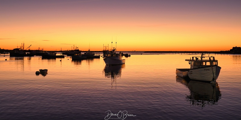 Rye Harbor Sunrise
Golden Glow at sunrise
Keywords: RyeHarbor Sunrise seacoast lobsterboats newhampshire