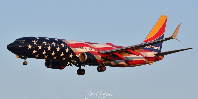 Freedom One short final at Manchester airport
You won't see me take pictures of many civilian airplanes, but I made an exception and drove out to MHT for this.
737 - N500WR
9/2/21 - KMHT
Keywords: Southwest Airlines, Freedom One, N500WR, KMHT, plane spotting, America