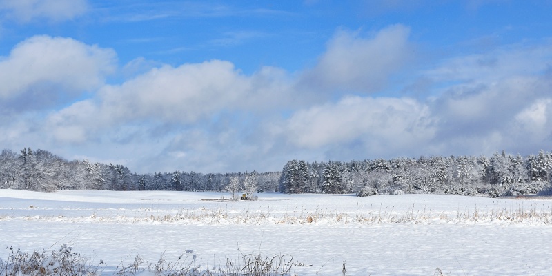 Pickering Road Fields
Dover, NH
1/19/26
