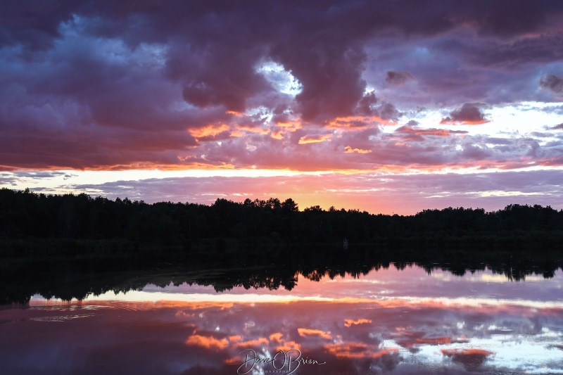 Pickering Pond Sunset
8/13/22
Keywords: pickeringroad pickeringponds sunset newhampshire