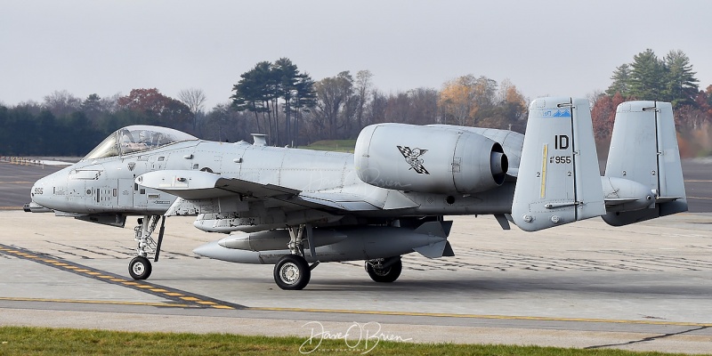 TREND51 Flight departs to Boise, ID
11/9/2020
