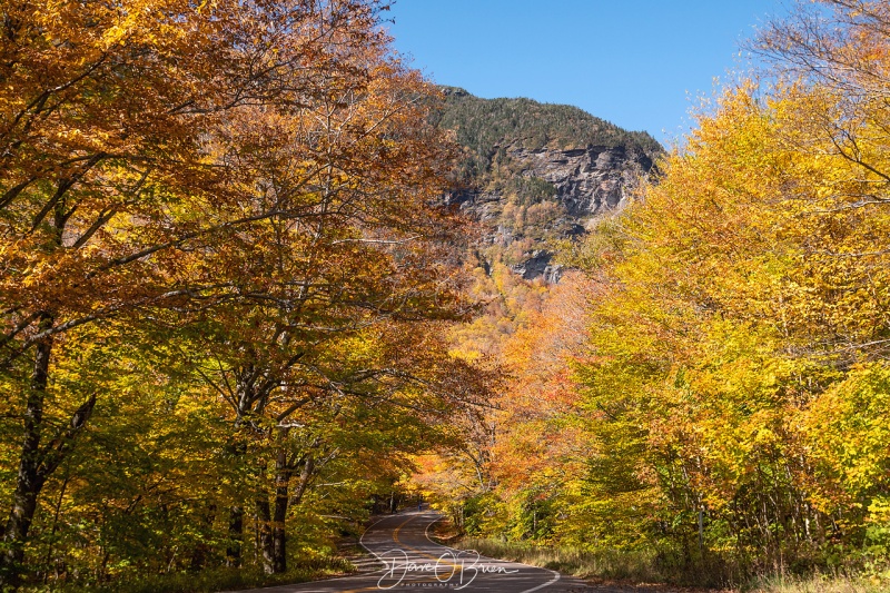 Stowe Mt
Stowe, Vt
10/11/19
