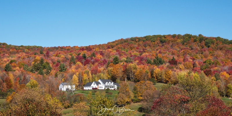 Vermont Foliage trip
10/11/19
