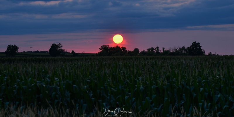 Wisconsin Sunset
While out at Oshkosh I stopped for this sunset on my way to my hotel
7/21/26
Keywords: Sunset, cornfield, Wisconsin, Oshkosh