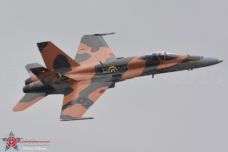 CF-18 Demo 2015
