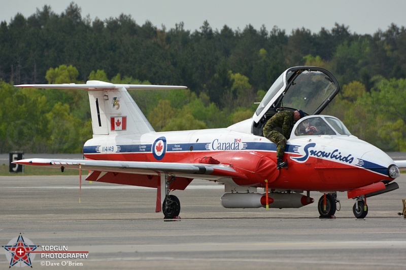 Canadian Snowbirds
