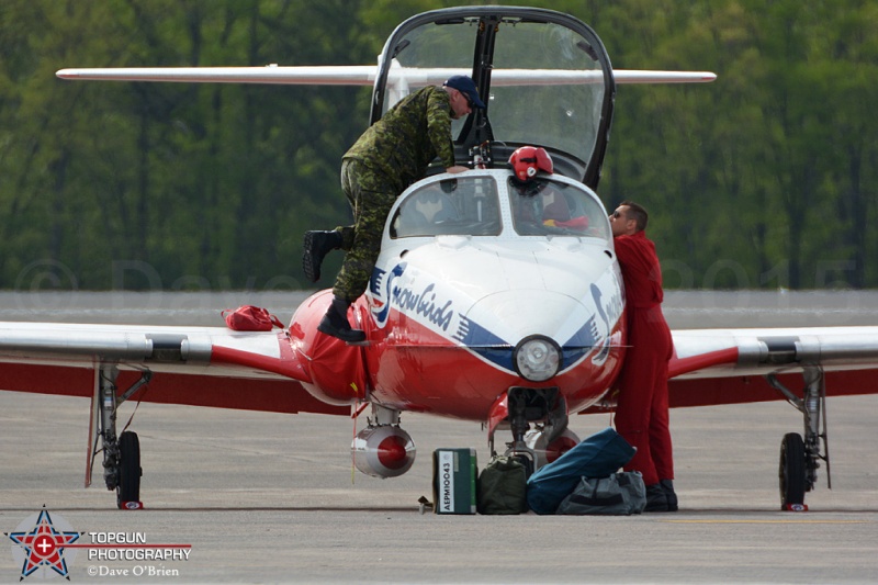 Canadian Snowbirds
