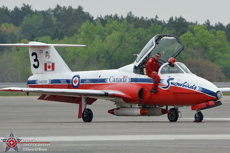 Canadian Snowbirds
