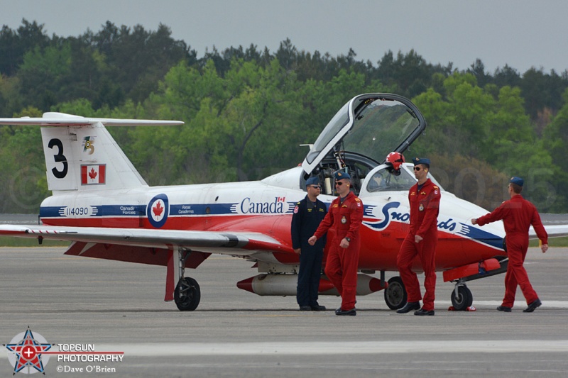 Canadian Snowbirds
