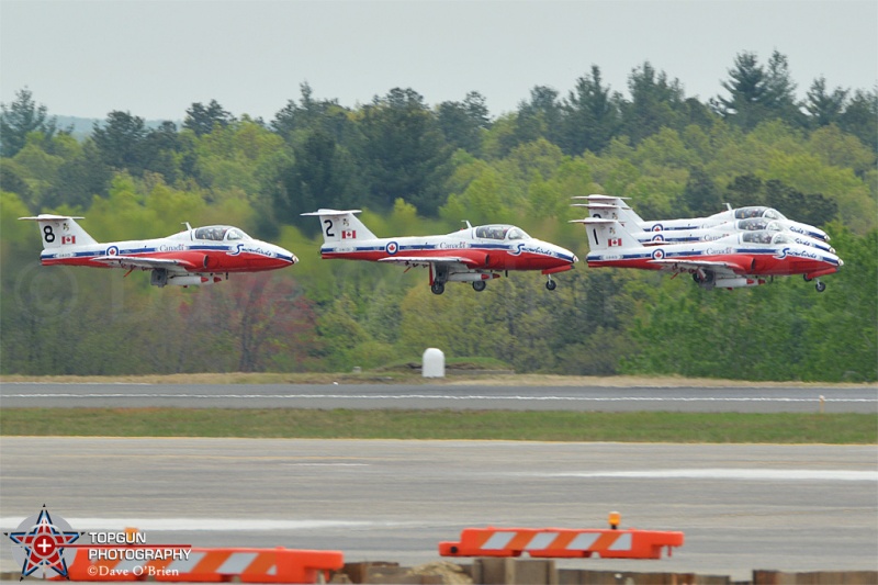 Canadian Snowbirds
