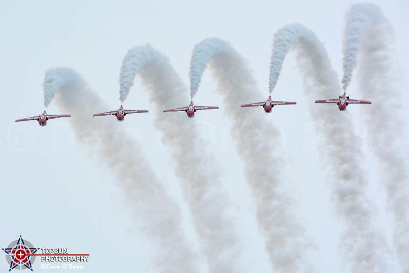 Canadian Snowbirds
