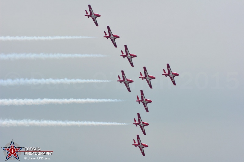 Canadian Snowbirds
