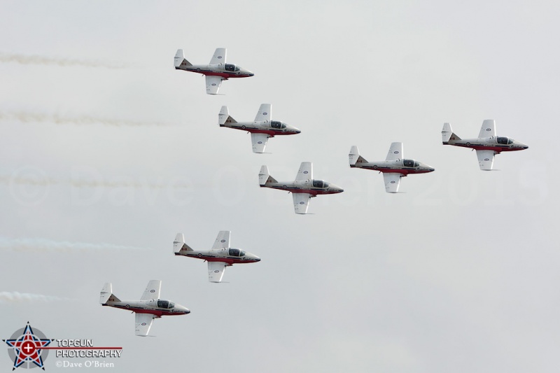 Canadian Snowbirds
