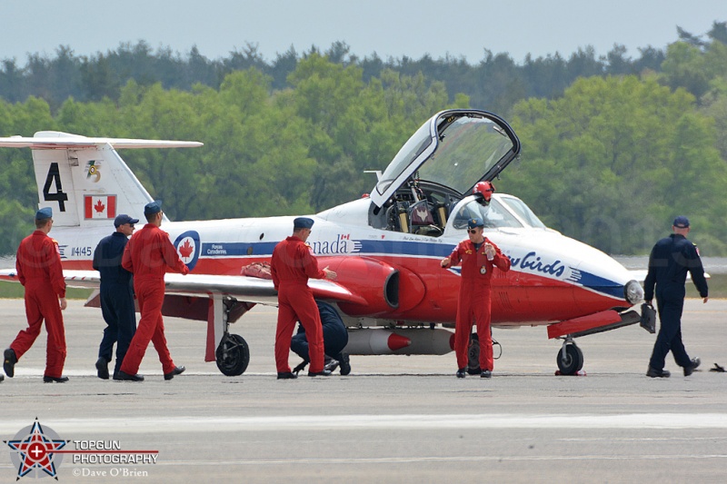 Canadian Snowbirds
