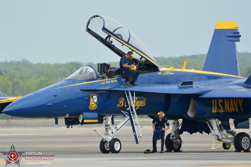 2015 Blue Angels
