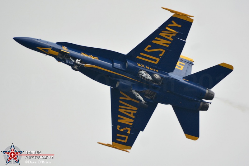 2015 Blue Angels
