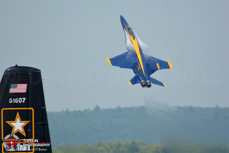 2015 Blue Angels
