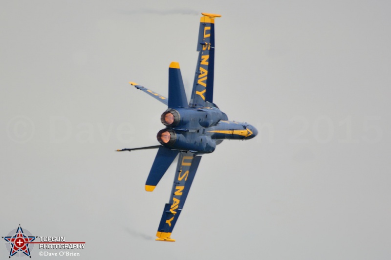 2015 Blue Angels
