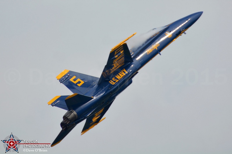 2015 Blue Angels
