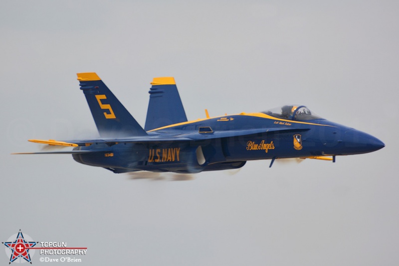 2015 Blue Angels
