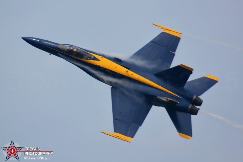 2015 Blue Angels
