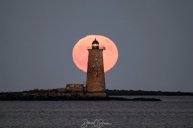 Full Moon over Whaleback
Full moon comes up behind Whaleback Lighthouse
Odiorne State Park
11/8/22 
Keywords: fullmoon lighthouses whaleback