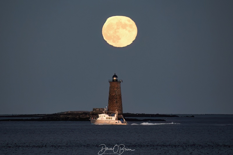 Full Moon over Whaleback
Full moon comes up behind Whaleback Lighthouse
Odiorne State Park
11/8/22 
Keywords: fullmoon lighthouses whaleback