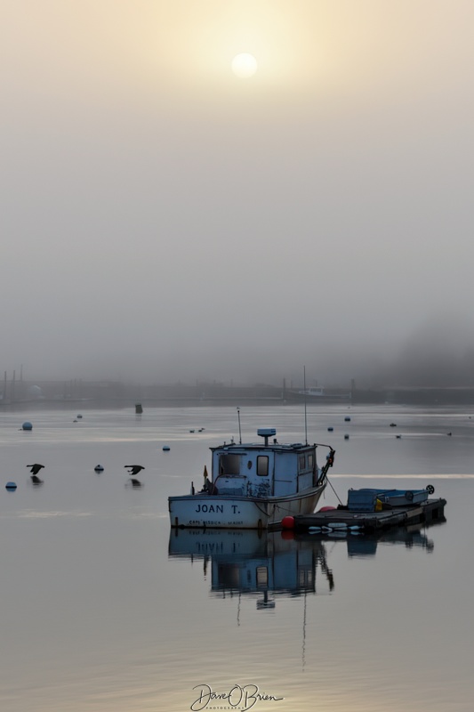 No Clouds at first for sunrise, then the fog rolled in.
York Harbor, ME
2/10/24
Keywords: sunrises, New England, York Harbor, ME