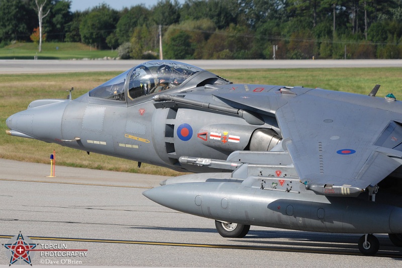 ZG501
GR9 / ZG501	
1st Sq / RAF Lossiemouth 
1/21/09

Keywords: Military Aviation, KPSM, Pease, Portsmouth Airport, RAF, GR9 Harrier