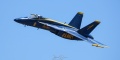 007-BLUE_ANGEL1_165664_FA-18E-2157.jpg
