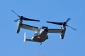 BISON64_169475_CMV-22A-4772.jpg