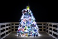 Coastal_Christmas_Trees-8013.jpg