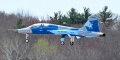 DEMON01_68-8204_T-38A-4140.jpg