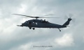 Friday Pavehawk from NY