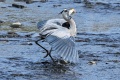 Exeter_GBH-8262.jpg