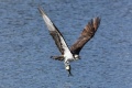 Exeter_River-9108.jpg