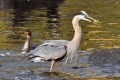 Exeter_River-9229.jpg