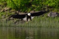 Exeter_River-9268.jpg