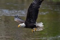 Exeter_River-9336.jpg