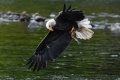 Exeter_River-9340.jpg