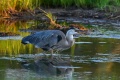 GBH-3760.jpg