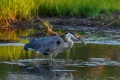 GBH_Rye-3744.jpg