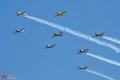 Group of T-6s 