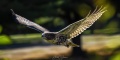 JUV_RTH-4081.jpg