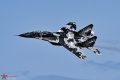 MIG-29UB