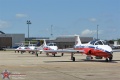 Canadian Snowbirds